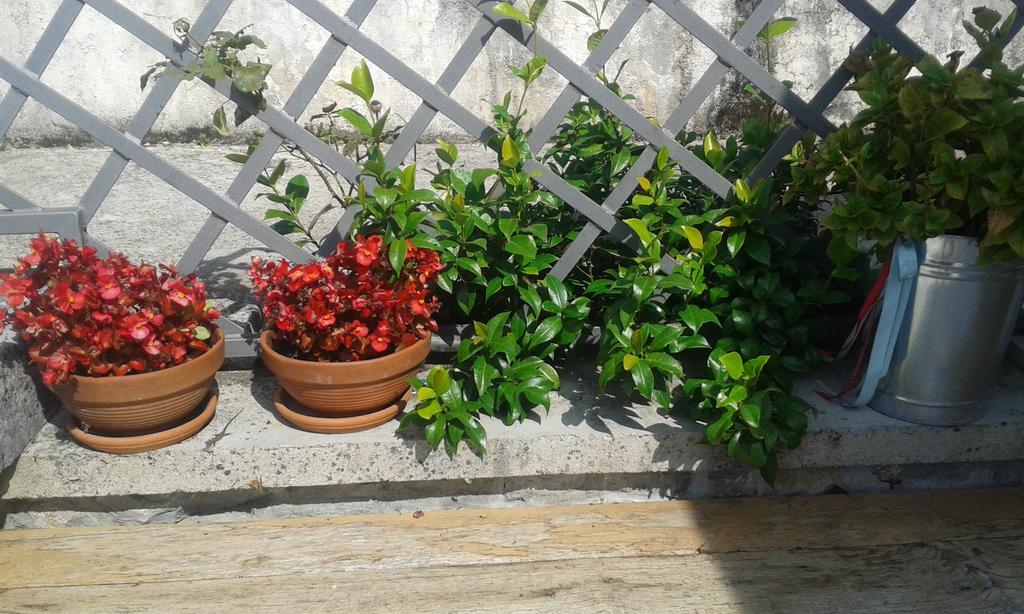 Guest House Rabenseifner - Opatija Jurdani 외부 사진